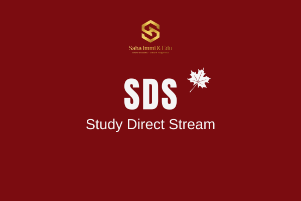 Diện SDS là gì?